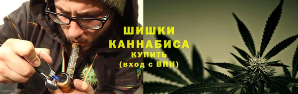 PSILOCYBIN Балабаново